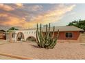 Quaint front of home features a minimalist desert rock garden with a striking mature cactus specimen at 3248 E Windrose Dr, Phoenix, AZ 85032