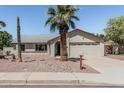 Single-story home showcasing desert landscaping, palm tree, and a two-car garage at 3300 N Coronado St, Chandler, AZ 85224