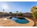 Enjoy the outdoors in this kidney-shaped pool with brick wall and mature landscaping at 8606 W Caribbean Ln, Peoria, AZ 85381