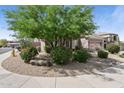 Beautifully landscaped front yard with mature trees and rock features enhance the property's curb appeal at 26271 N 46Th St, Phoenix, AZ 85050