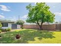 Spacious backyard offering a mature shade tree and a storage shed, perfect for outdoor activities and relaxation at 4502 N 17Th Ave, Phoenix, AZ 85015