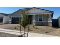 Single-story home with a gray exterior, black garage door, and a small, newly landscaped front yard at 17677 W Odeum Ln, Goodyear, AZ 85338