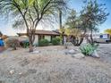 Front yard view of single-story home, featuring desert landscaping with mature tree at 19604 N 13Th Ave, Phoenix, AZ 85027