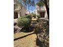 View of well-maintained landscaping and rock ground cover in the front yard of the home at 11460 W Eden Mckenzie Dr, Surprise, AZ 85378
