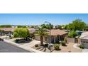 Lovely single-Gathering home with a well-maintained lawn and mature palm trees at 19942 N 108Th Ave, Peoria, AZ 85373
