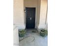Inviting front entry featuring a secure black screen door and charming potted plants at 8981 W Tuckey Ln, Glendale, AZ 85305