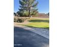 Expansive backyard featuring lush green lawn, mature trees, and a privacy fence at , Mesa, AZ 85205