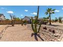 Landscaped front yard with drought-tolerant plants, rocks, and a soaring cactus at 5601 W Whitten St, Chandler, AZ 85226