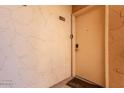 Neutral exterior door to unit C203 ensures privacy and security in a well-maintained apartment complex at 8055 E Thomas Rd # C203, Scottsdale, AZ 85251