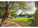 Expansive backyard with lush lawn, mature trees, and desert landscaping at 9035 W Villa Chula --, Peoria, AZ 85383