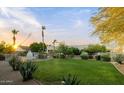 Expansive backyard showcasing lush greenery, mature trees, and a view of the neighborhood at 9035 W Villa Chula --, Peoria, AZ 85383