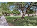 Well-maintained community green space featuring lush lawns, mature trees and walking paths at 9807 N 5Th St, Phoenix, AZ 85020