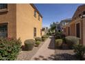 View of the neighborhood featuring well-kept landscaping and inviting sidewalks at 3450 E Milky Way, Gilbert, AZ 85295