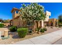 Attractive multi-story home with lush landscaping, including a flowering tree, and a well-kept lawn at 36145 N Desert Tea Dr, Queen Creek, AZ 85140