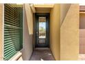 Close-up of the front door with glass inserts and adjacent window allowing natural light into the entryway at 36145 N Desert Tea Dr, Queen Creek, AZ 85140