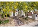 Charming home entrance with a beautiful yellow flowering tree and a brick walkway leading to the front gate at 14247 N 2Nd Ave, Phoenix, AZ 85023