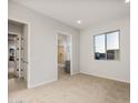 Bedroom showcasing neutral carpet, a large window, and a view of the en-suite bathroom at 26914 W Renee Dr, Buckeye, AZ 85396