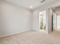 Bright bedroom featuring neutral carpeting and an ensuite bathroom with a glass-enclosed shower at 26914 W Renee Dr, Buckeye, AZ 85396