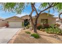 Charming single-story home with desert landscaping, a two car garage, and a beautiful tree at 10130 S 185Th Dr, Goodyear, AZ 85338