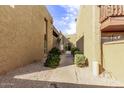 Exterior walkway featuring mature landscaping and gravel beds between buildings at 1701 W Tuckey Ln # 231, Phoenix, AZ 85015