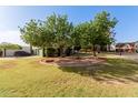 Lush front yard with mature trees and well-maintained landscaping at 2438 N Forest Cir, Mesa, AZ 85203