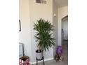 Bright entryway with tile floors, neutral walls, and a potted plant with a small accent table at 3825 S 60 Dr, Phoenix, AZ 85043