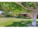 Residential home with a charming tree with a swing, lush green lawn, and pathway at 502 W Windsor Ave, Phoenix, AZ 85003