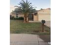 Charming home featuring a well-manicured lawn and mature palm tree at 5435 W Christy Dr, Glendale, AZ 85304