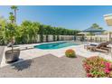 A backyard view of the large pool with diving board, surrounded by a patio, landscaping and an umbrella covered table at 5711 E Corrine Dr, Scottsdale, AZ 85254