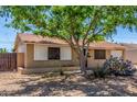 Lovely single-story home with a well-maintained exterior and mature shade tree in the front yard at 355 E Fillmore St, Tempe, AZ 85288