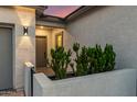 Close up of the front door featuring a gray stucco wall and bushes in front of the entrance at 22609 E Roundup Way, Queen Creek, AZ 85142