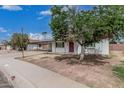 Inviting single-story home featuring a covered carport, brick accents, and a large front yard tree at 9609 N 44Th Ave, Glendale, AZ 85302