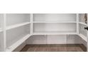 Spacious walk-in pantry with ample shelving for organized storage at 16550 W Creedance Blvd, Surprise, AZ 85387