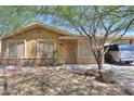 Charming single-story home with a mature tree and landscaping in a residential neighborhood at 7038 W Fillmore St, Phoenix, AZ 85043