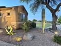 Landscaped side yard with a cactus, rocks, and desert foliage at 2 W Pasture Canyon Dr, San Tan Valley, AZ 85143