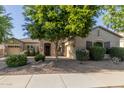 Charming single-story home with stone accents, lush landscaping, and a well-manicured front yard at 22290 E Escalante Rd, Queen Creek, AZ 85142
