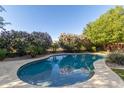 Inviting pool features lush flowering bushes and nearby trees for relaxing outdoor enjoyment at 22290 E Escalante Rd, Queen Creek, AZ 85142