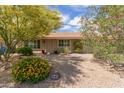 Single-story home with neutral tones and lush landscaping, including colorful flowers and mature trees at 2920 W Michigan Ave, Phoenix, AZ 85053
