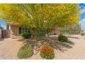 Well-maintained front yard featuring colorful landscaping, mature trees, and decorative rock at 2920 W Michigan Ave, Phoenix, AZ 85053