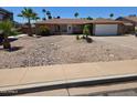 Charming single story home with desert landscaping and mature palm trees in front yard at 909 W Mesquite St, Chandler, AZ 85225