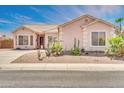 Single-story home with desert landscaping, including cacti and palm trees at 1633 E Jasmine St, Casa Grande, AZ 85122