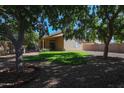 Beautiful backyard with lush green lawn, covered patio, mature trees and low maintenance rock landscaping at 18116 N Catherine Dr, Surprise, AZ 85374