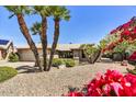 Charming home with desert landscaping, mature palm trees, and vibrant bougainvillea at 9226 W Topeka Dr, Peoria, AZ 85382