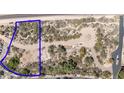 Desert lot showcases native plants and the natural beauty of the environment at 9804 E Running Deer Trl, Scottsdale, AZ 85262
