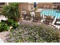 Landscaped pool area with purple flowers, lounge chairs, and clear blue water behind a fence and small palm trees at 16631 E El Lago Blvd # 212, Fountain Hills, AZ 85268