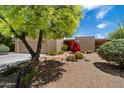 Stunning front yard with desert landscaping and a beautiful tree at 1725 E Staghorn Ln, Carefree, AZ 85377