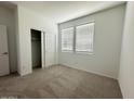 Clean, carpeted bedroom with a closet and well-lit by two windows at 46922 W Coe St, Maricopa, AZ 85139