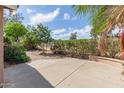 A backyard patio featuring mature landscaping, and a block fence at 5336 W Campo Bello Dr, Glendale, AZ 85308