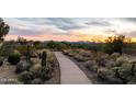 Scenic desert walking path with native plants, cacti and mountain views at 10527 E Acacia Dr, Scottsdale, AZ 85255