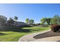 Scenic community view with lush green spaces, mature trees, and clear blue skies at 2745 W Jessica Ln, Phoenix, AZ 85041
